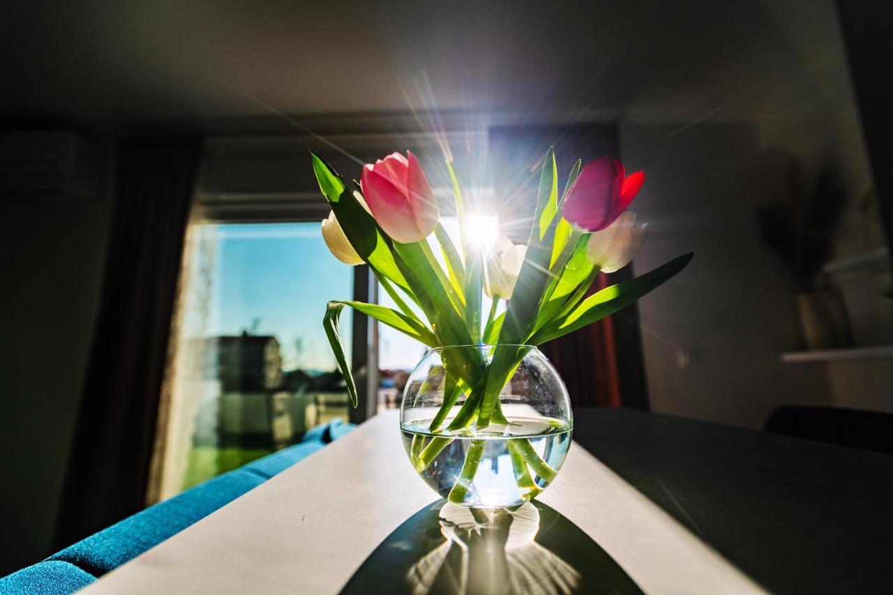 Holiday Apartment Zadar - With Summer Balcony And Parking المظهر الخارجي الصورة